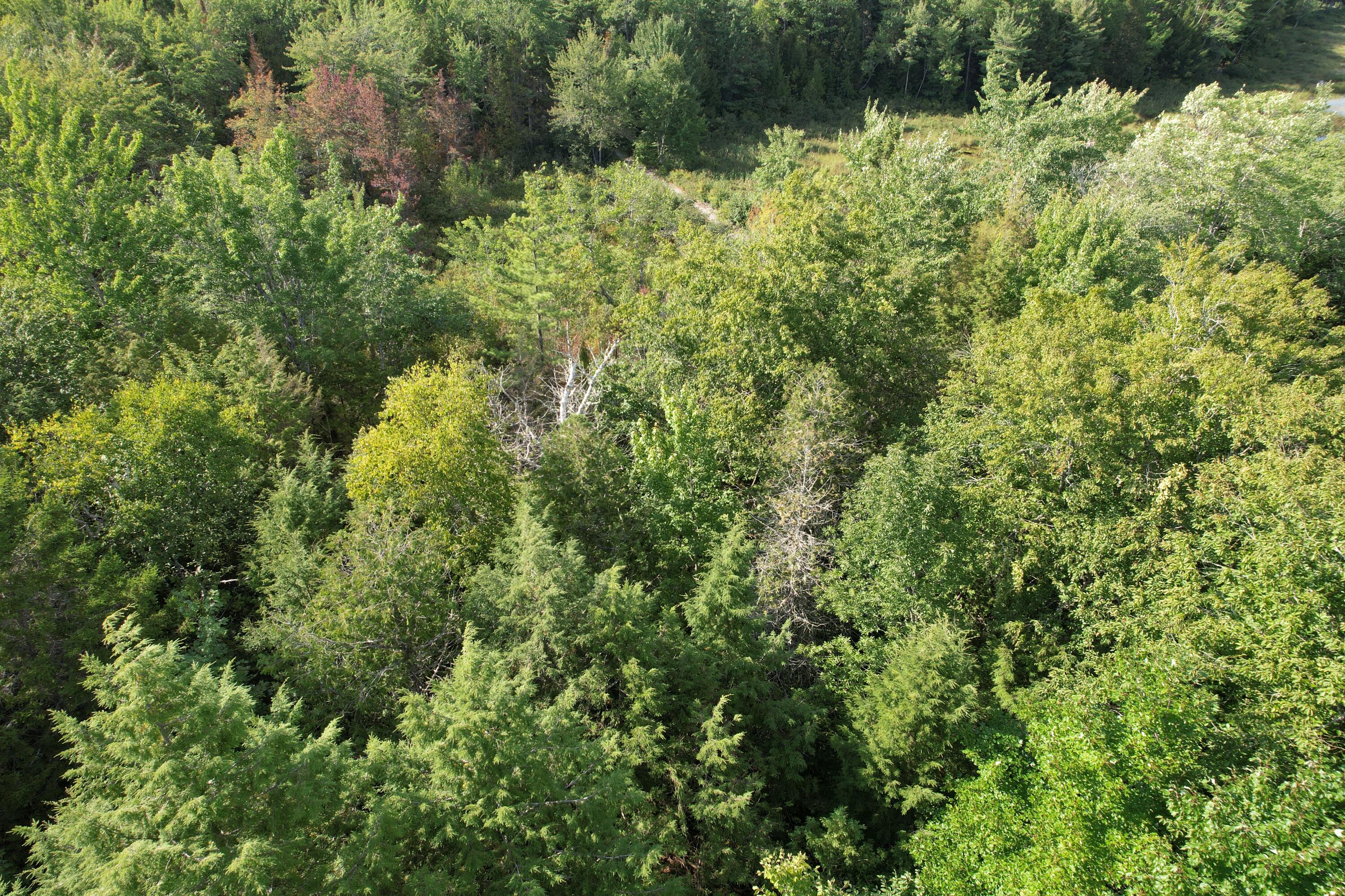 69 K Christmas Cove Road Crawford, ME 04694 - Photo 6 of 18 DJI_0024