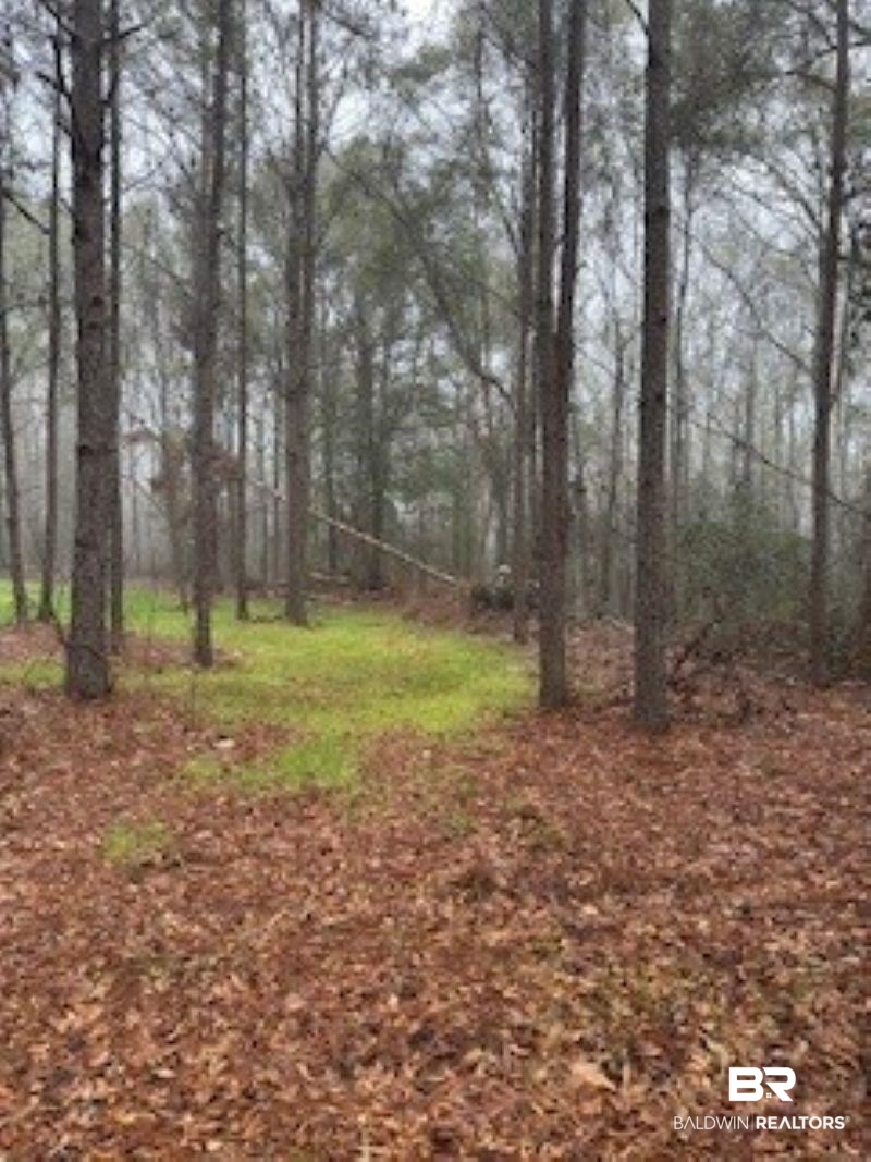 0 West Eastward Road Jackson, AL 36545 - Photo 2 of 2 View of yard