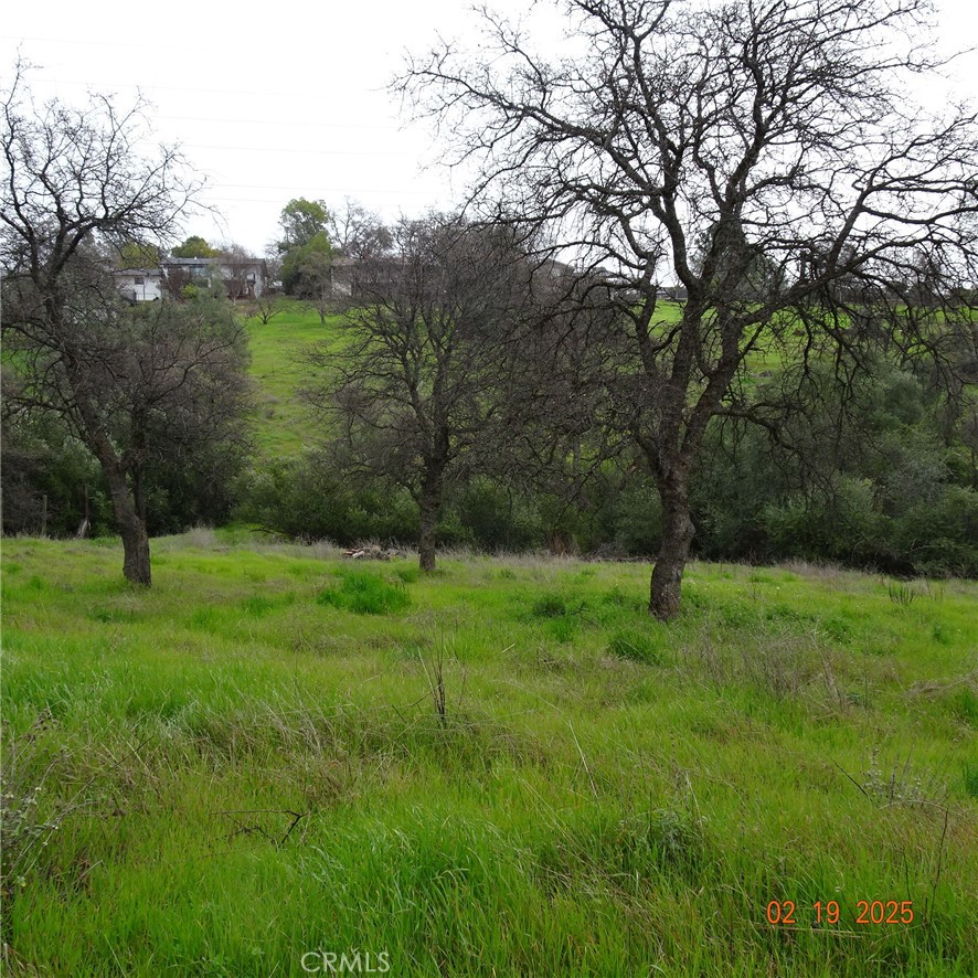 0 Long Bar Road Oroville, CA 95966 - Photo 2 of 9 a view of a green field with a tree