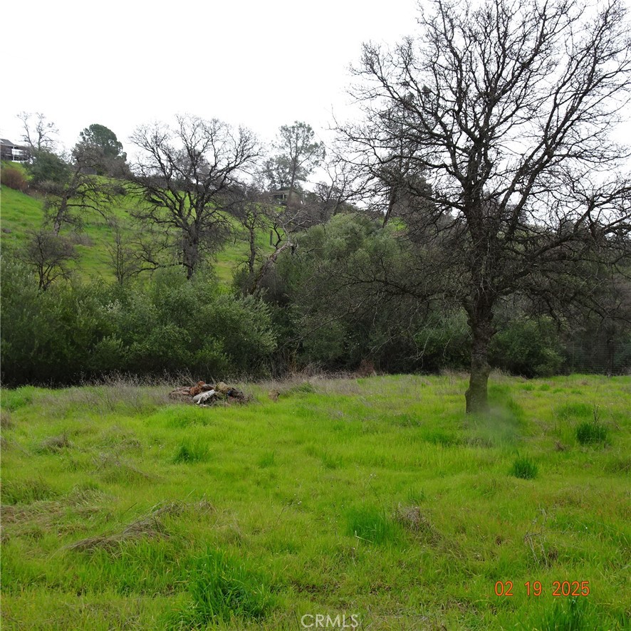 0 Long Bar Road Oroville, CA 95966 - Photo 3 of 9 a backyard of a house with lots of green space
