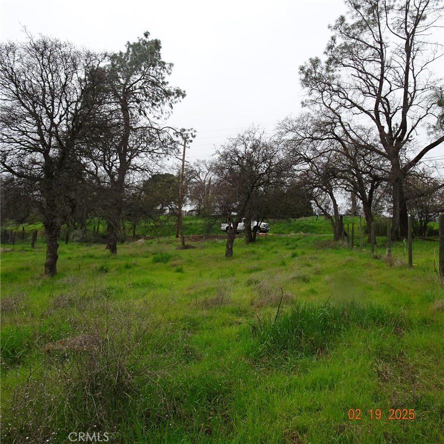 0 Long Bar Road Oroville, CA 95966 - Photo 4 of 9 a view of grassy field with benches and trees