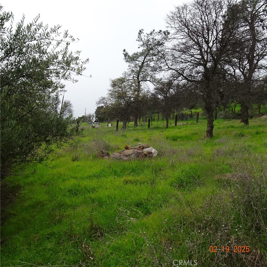 0 Long Bar Road Oroville, CA 95966 - Photo 5 of 9 a view of a green field with lots of trees