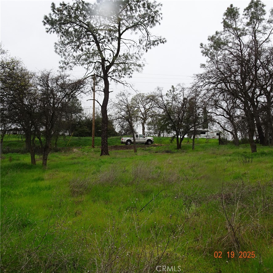 0 Long Bar Road Oroville, CA 95966 - Photo 8 of 9 a view of grassy field with benches and trees all around