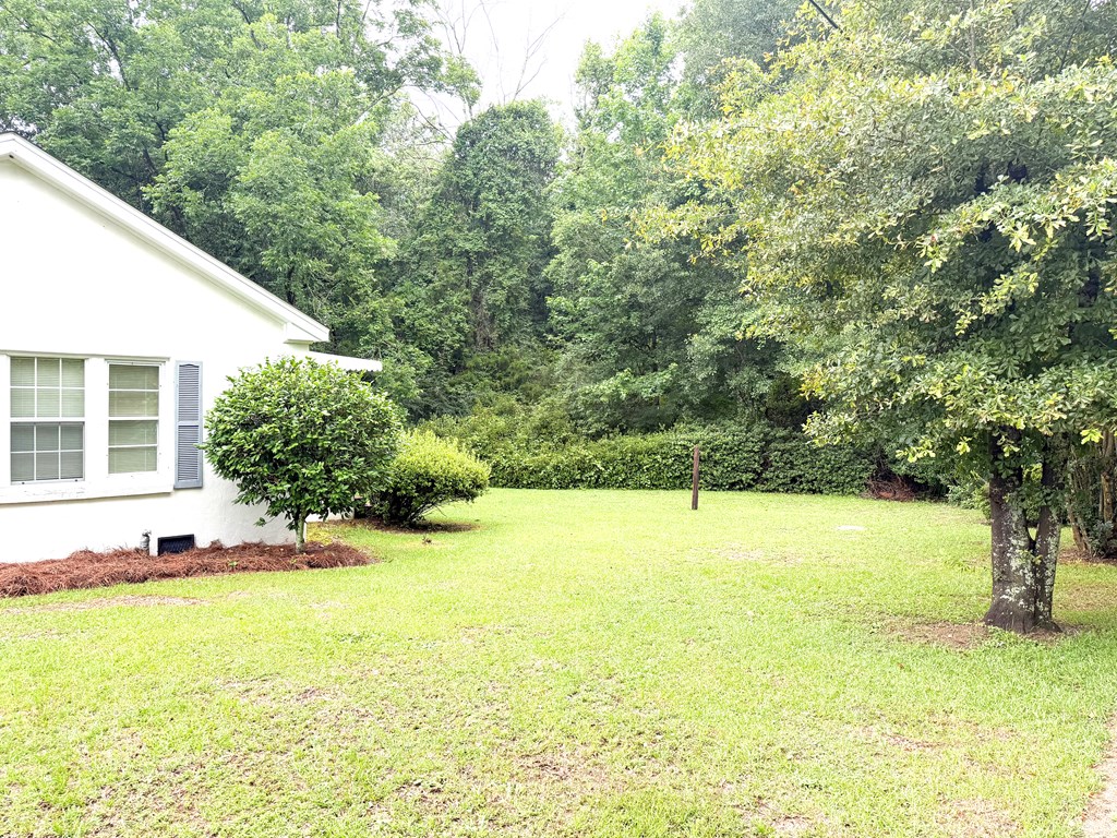 739 Lake Frankie Road Samson, AL 36477 - Photo 30 of 31