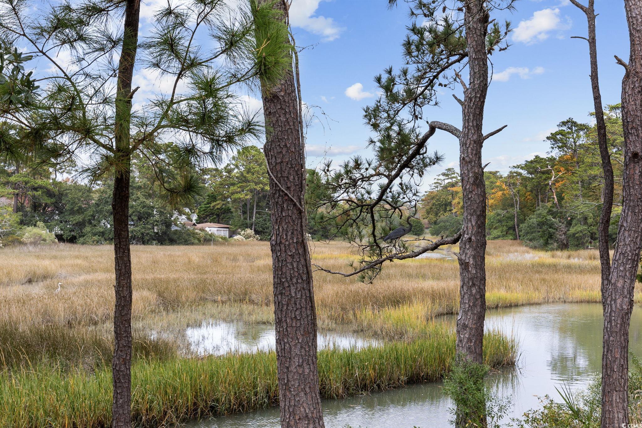 627 Bonaventure Drive, Unit 204 Myrtle Beach, SC 29577 - Photo 30 of 39