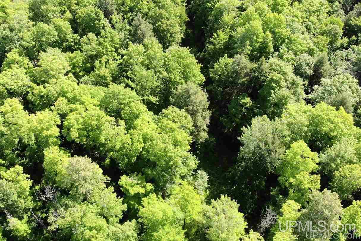 21660 Newberry Road Pelkie, MI 49958 - Photo 7 of 40