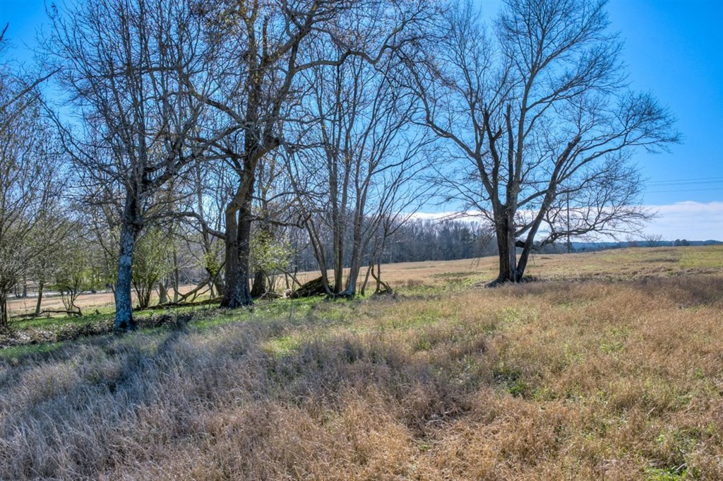 Lot 7 Wire Road Aiken, SC 29801 - Photo 10 of 13