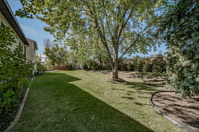 a view of a flower in a garden