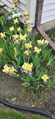 $524,900 | 1259 Natchez Trace Circle, Naperville, IL 60565