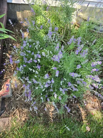 $524,900 | 1259 Natchez Trace Circle, Naperville, IL 60565