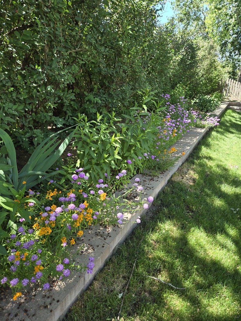 1259 Natchez Trace Circle Naperville, IL 60565 - Photo 54 of 56 a view of a garden