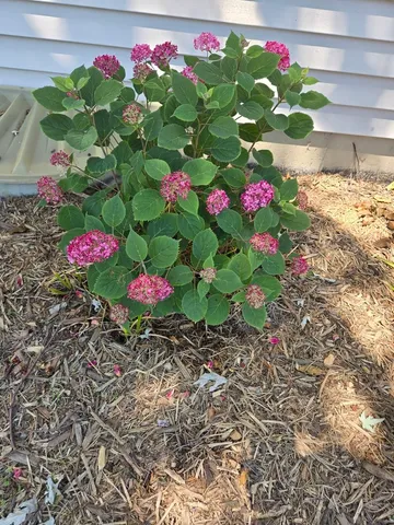 $524,900 | 1259 Natchez Trace Circle, Naperville, IL 60565