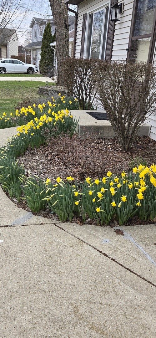 1259 Natchez Trace Circle Naperville, IL 60565 - Photo 56 of 56