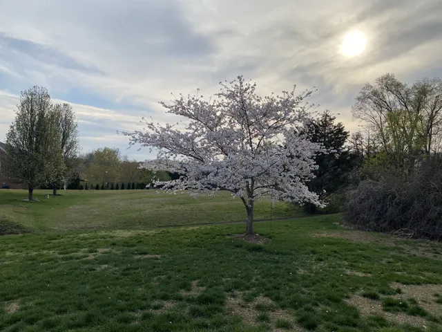 $3,400 | 405 Waterton Court, Brentwood, TN 37027