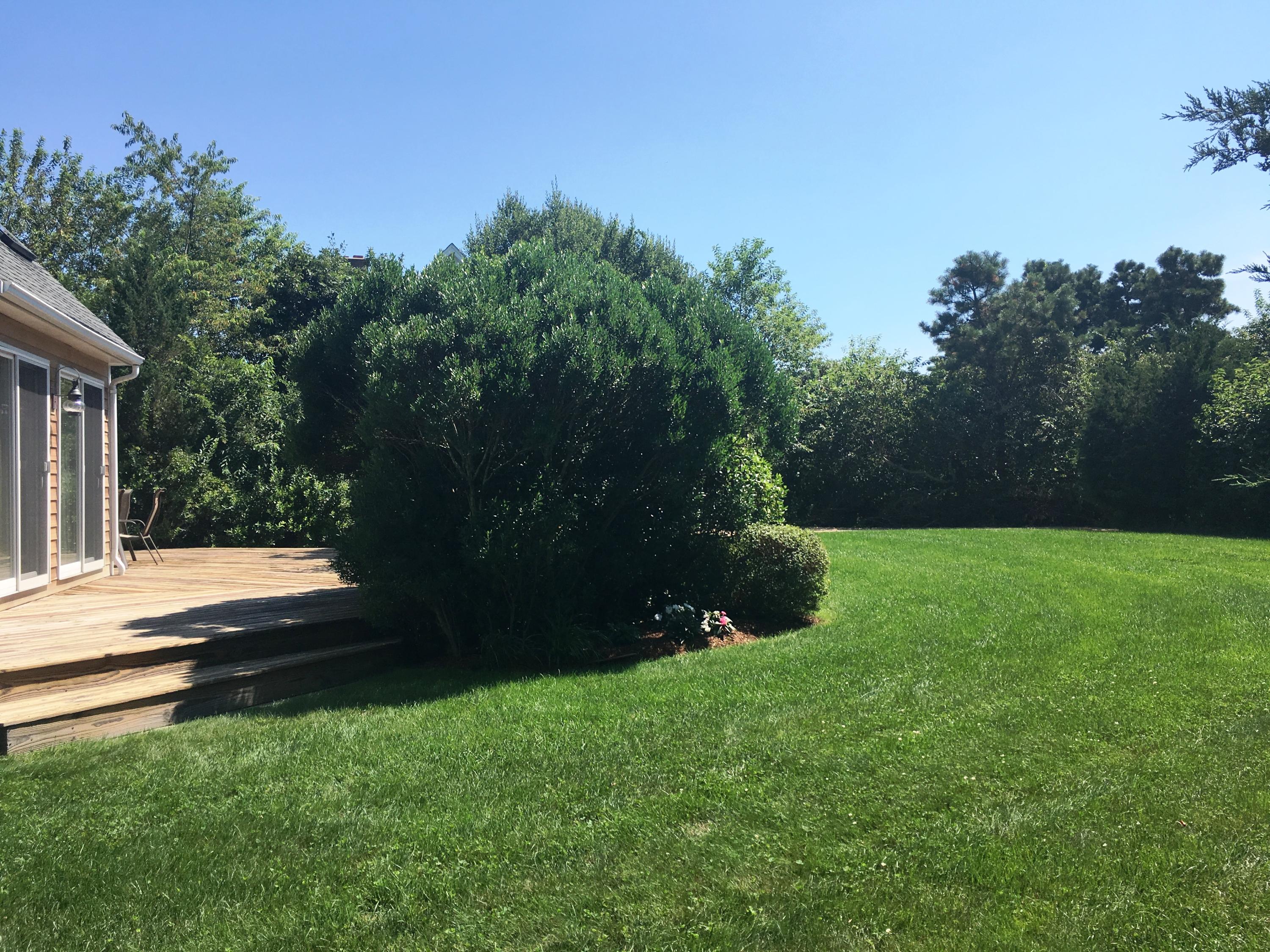 19 Pulpit Lane Edgartown, MA 02539 - Photo 3 of 3 Front Yard