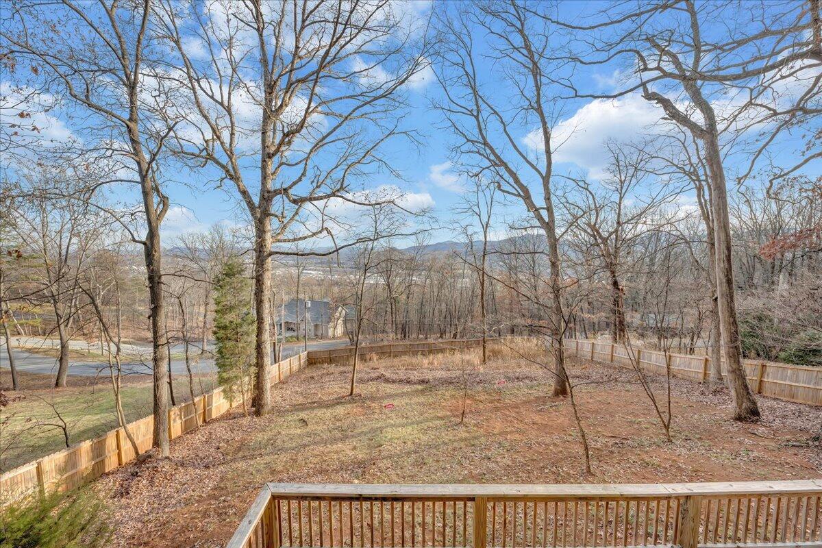 778 Shirley Road Salem, VA 24153 - Photo 19 of 54 030-MIB04806