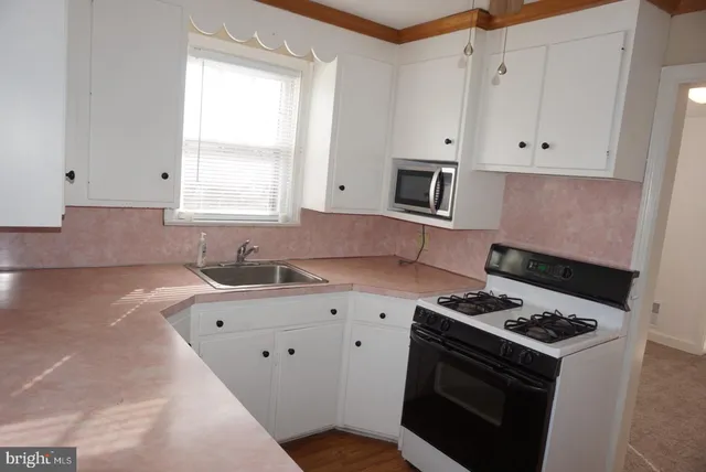 a bathroom with a shower and a sink
