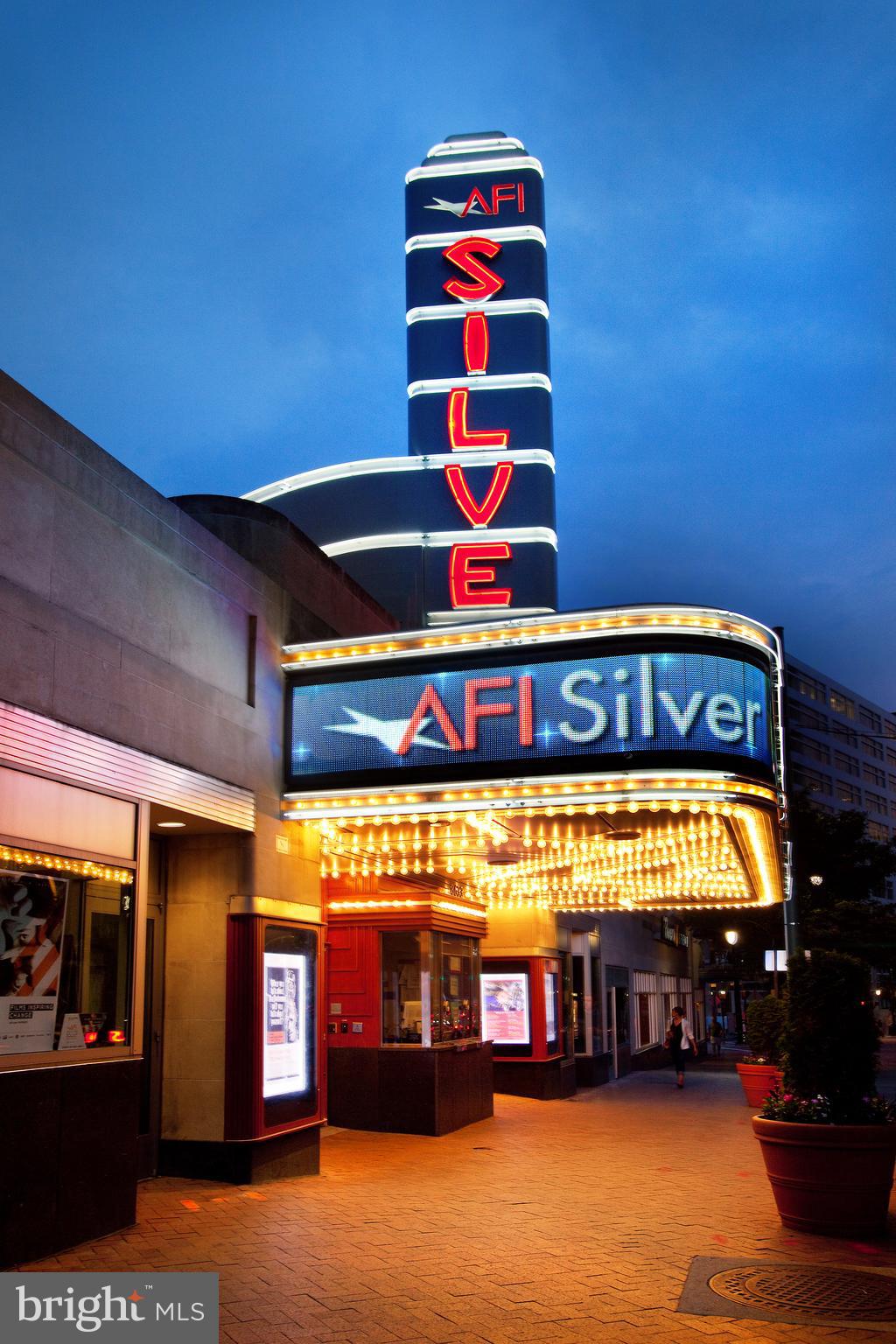 1320 Fenwick Lane, Unit 203 Silver Spring, MD 20910 - Photo 41 of 42 AFI