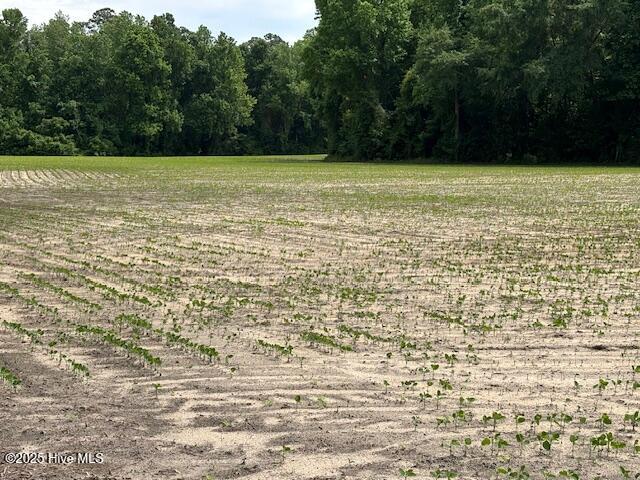 425 Biddle Road Dover, NC 28526 - Photo 6 of 52 IMG_0930