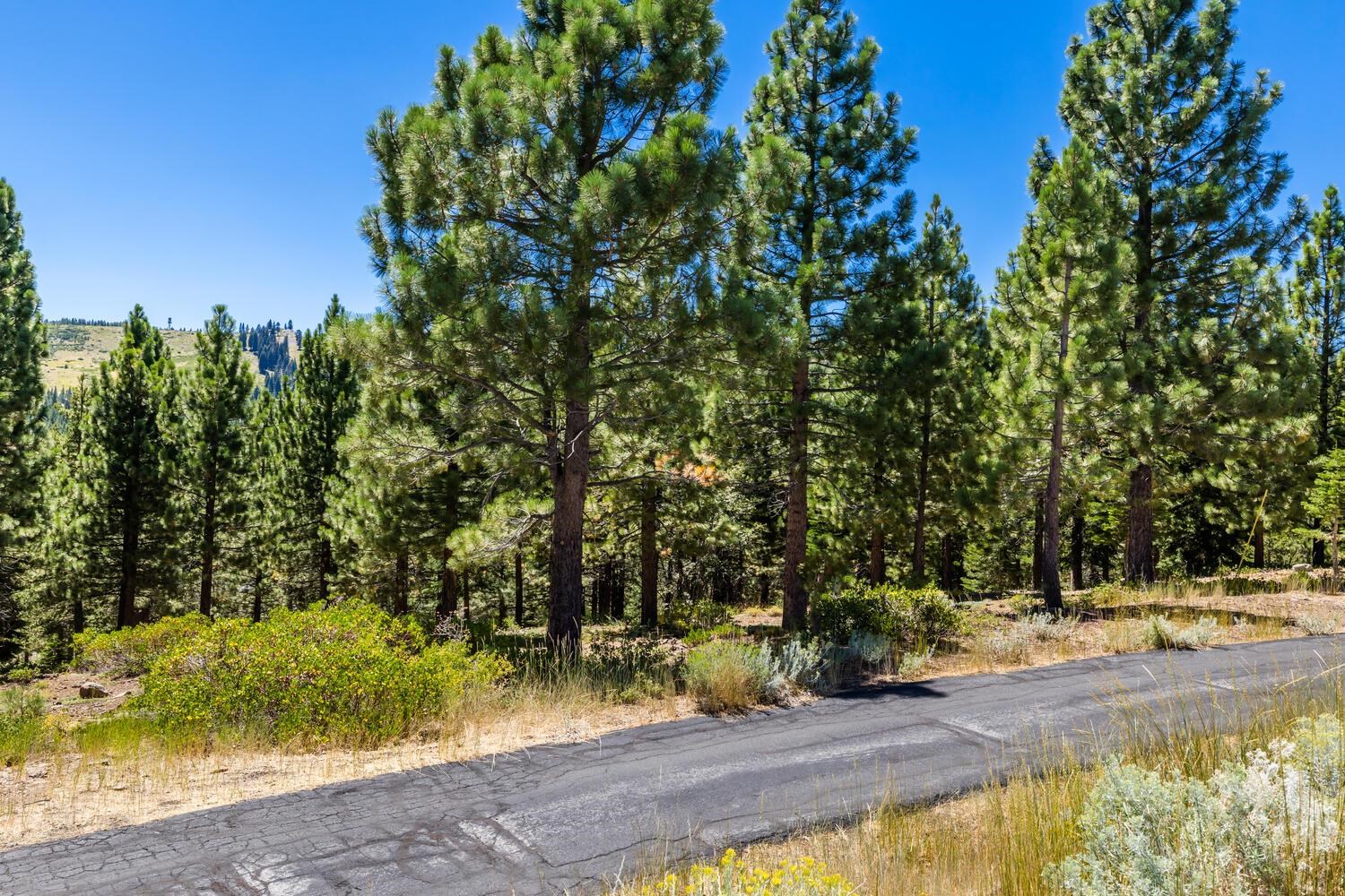 12379 Stockholm Way Truckee, CA 96161 - Photo 11 of 18 a view of yard with tree