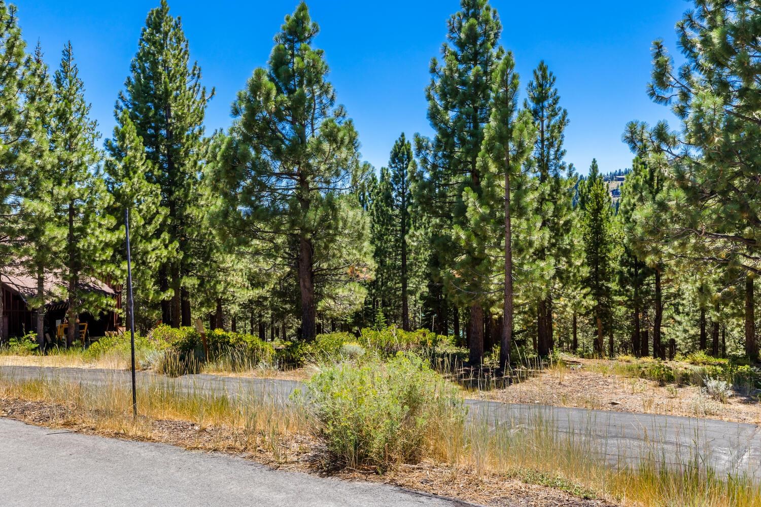 12379 Stockholm Way Truckee, CA 96161 - Photo 12 of 18 a view of a yard with plants