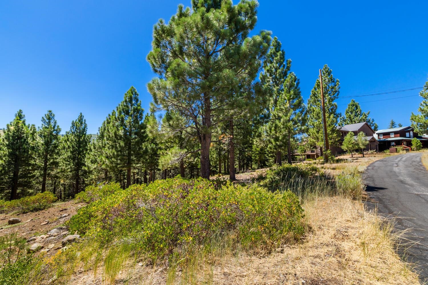 12379 Stockholm Way Truckee, CA 96161 - Photo 15 of 18 a view of swimming pool with a yard