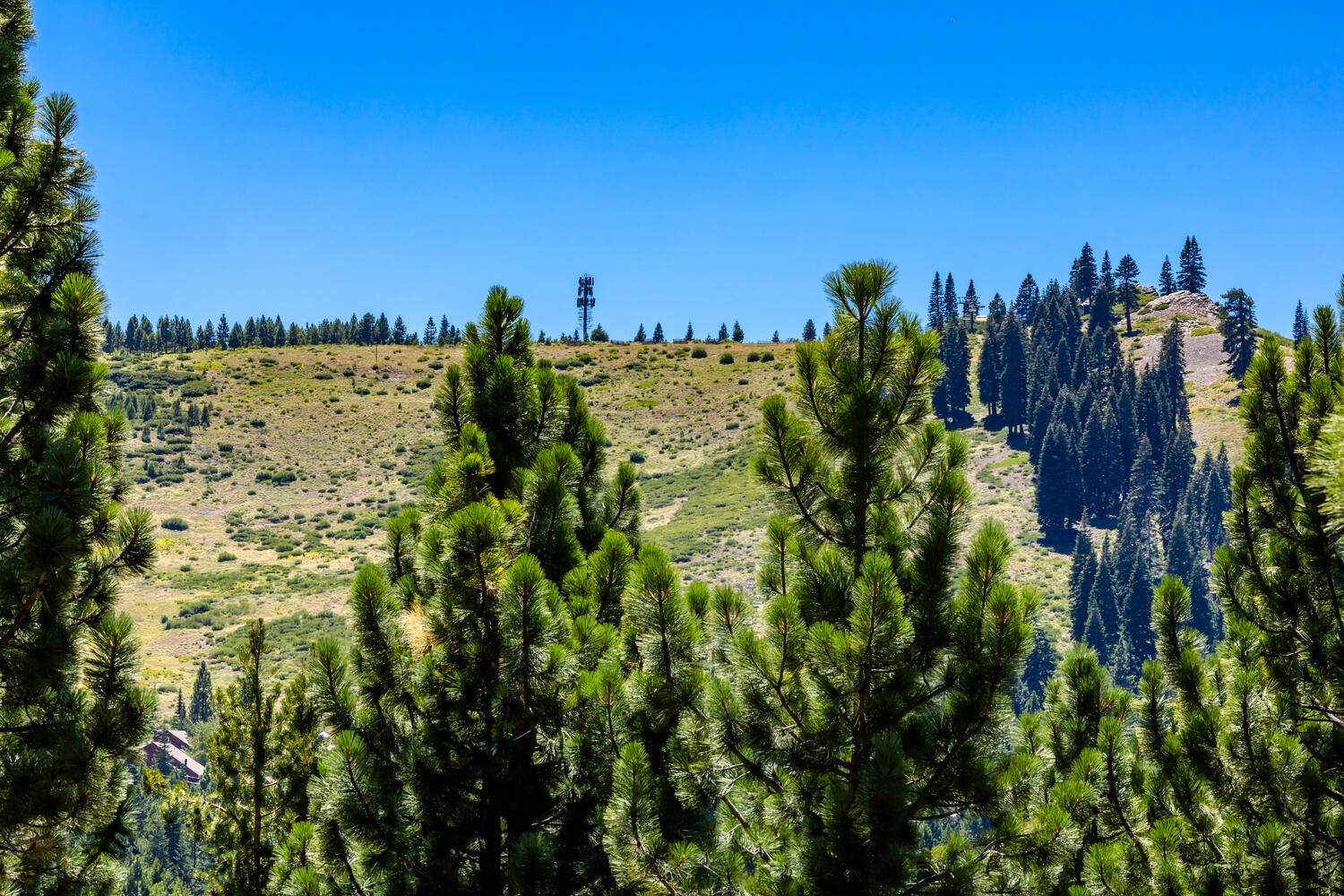 12379 Stockholm Way Truckee, CA 96161 - Photo 17 of 18 a view of a city