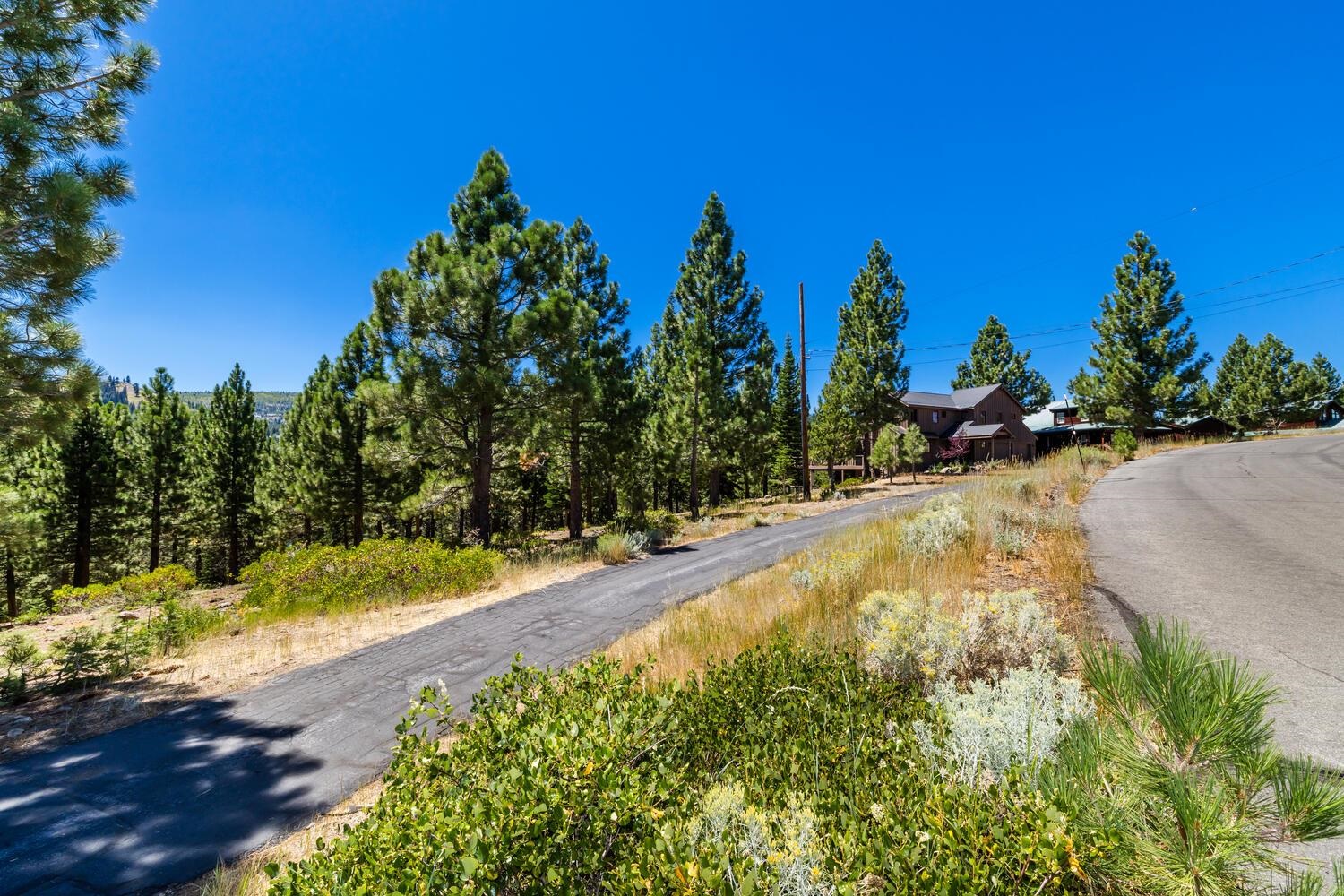 12379 Stockholm Way Truckee, CA 96161 - Photo 9 of 18 a view of a yard with trees