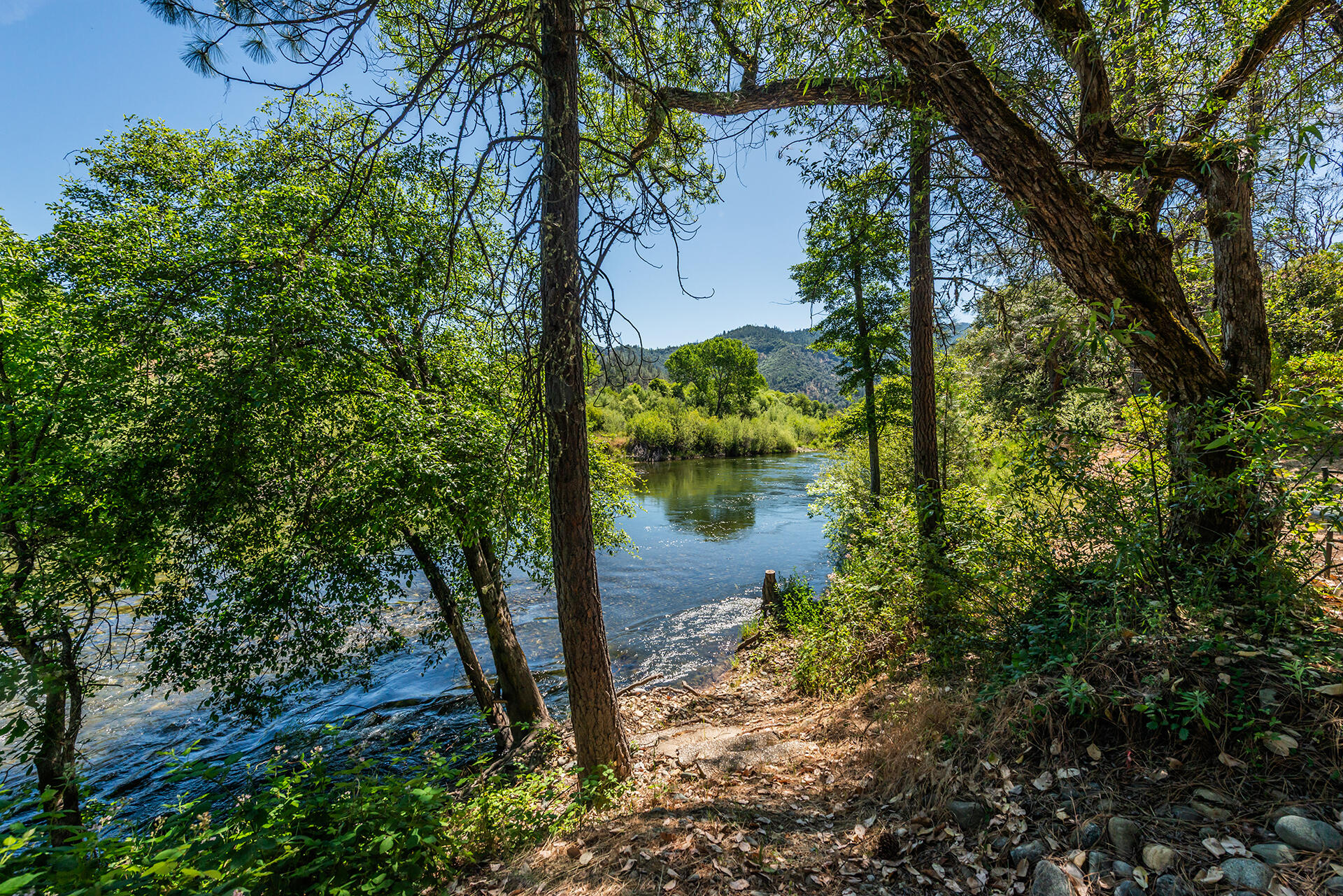 901 Dutch Creek Road Junction City, CA 96048 - Photo 16 of 70