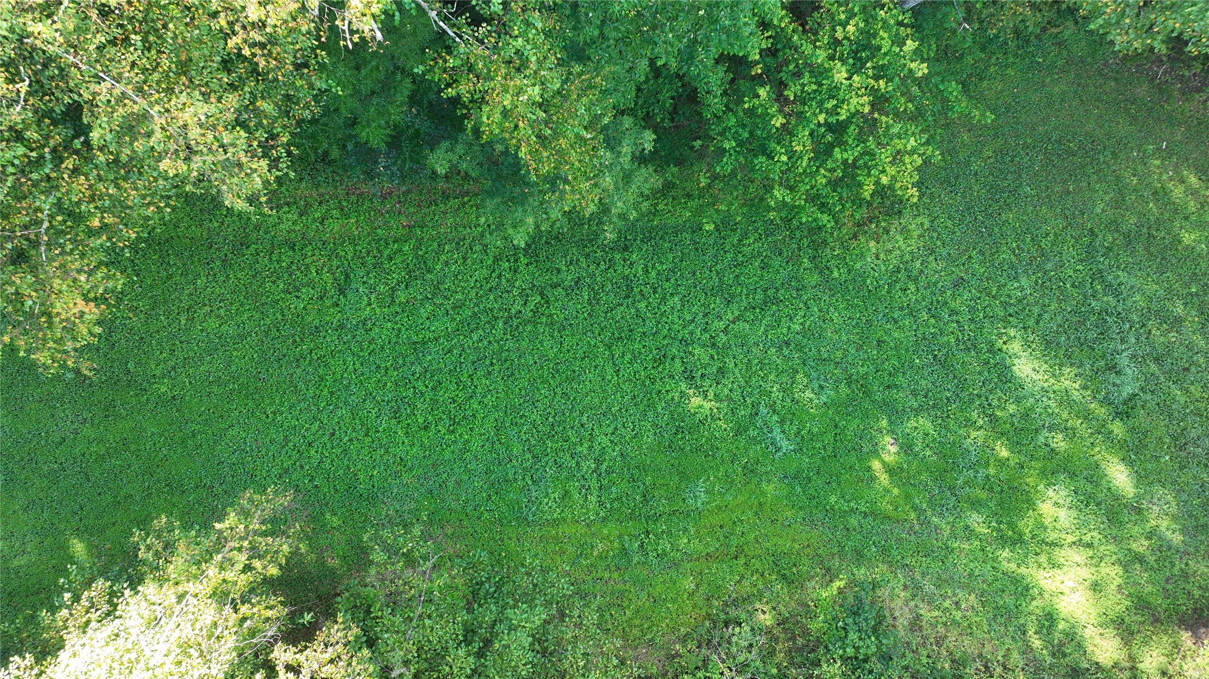 Xx County Rd O Boyceville, WI 54725 - Photo 12 of 36 Gallery Image 12