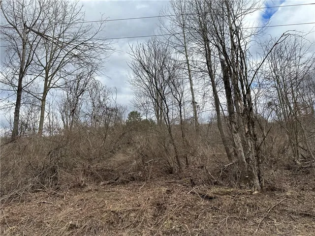 $29,900 | Undisclosed Address, Mount Upton, NY 13809