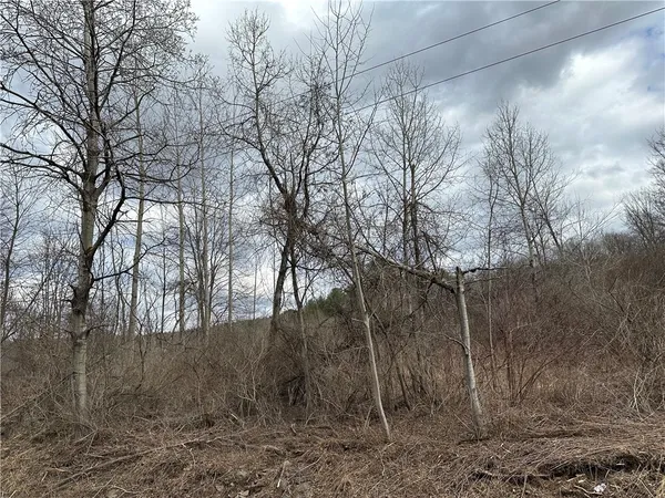 $29,900 | Undisclosed Address, Mount Upton, NY 13809