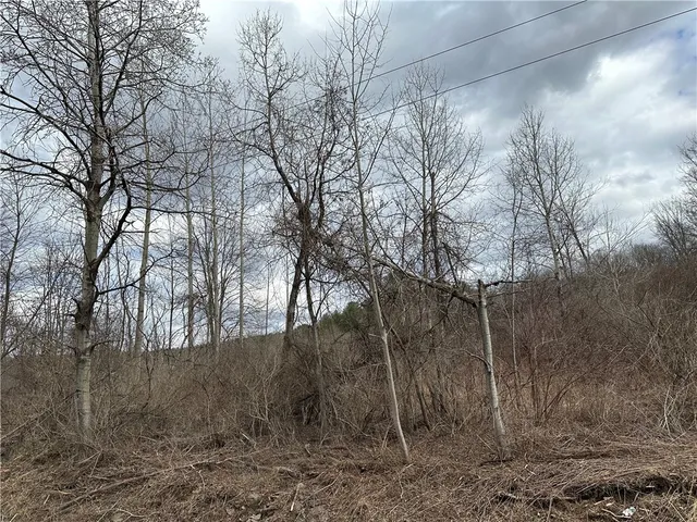 $29,900 | Undisclosed Address, Mount Upton, NY 13809