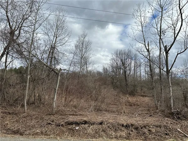 $29,900 | Undisclosed Address, Mount Upton, NY 13809