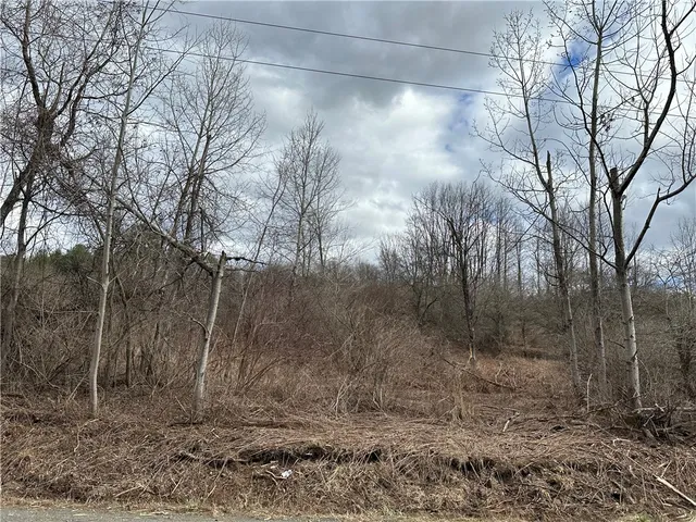 $29,900 | Undisclosed Address, Mount Upton, NY 13809