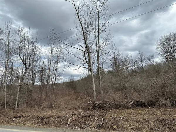 $29,900 | Undisclosed Address, Mount Upton, NY 13809