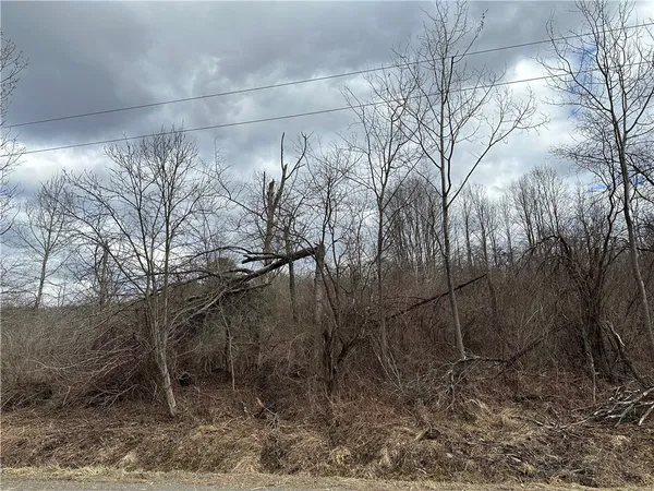 $29,900 | Undisclosed Address, Mount Upton, NY 13809