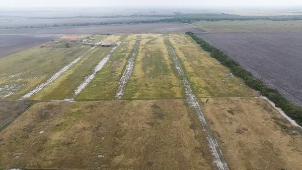 a view of yard