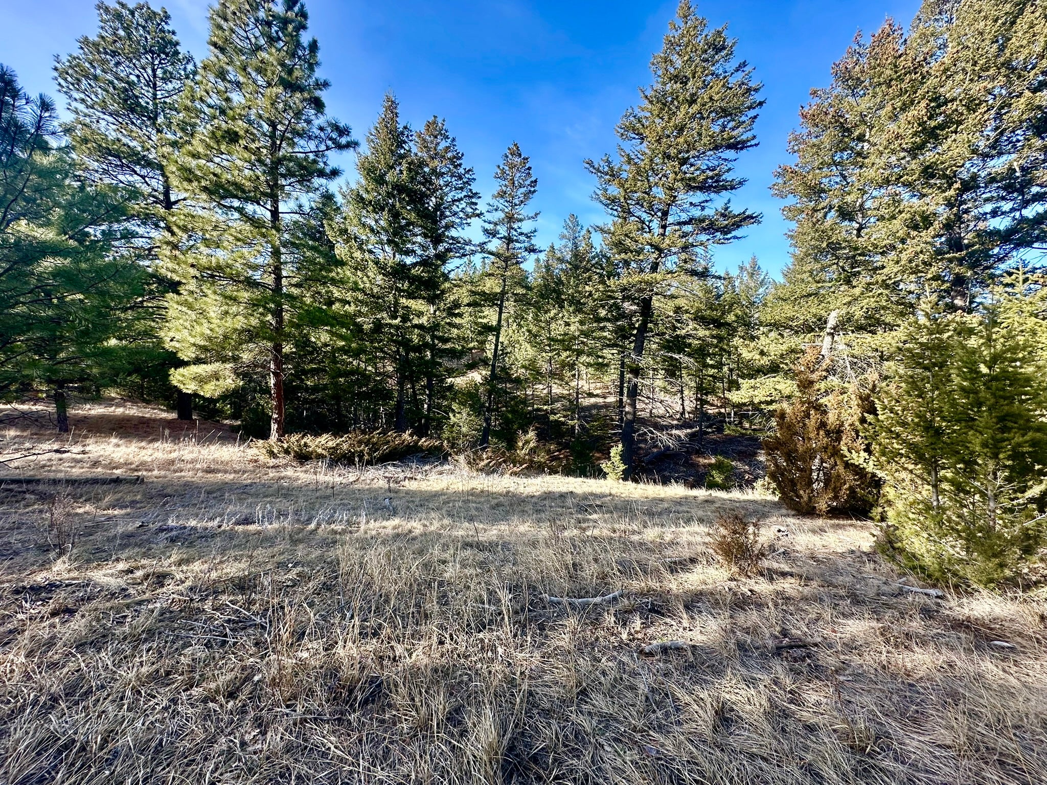 Tbd Martinez Gulch Road, Unit GULCH Clancy, MT 59634 - Photo 11 of 18 Gallery Image 11