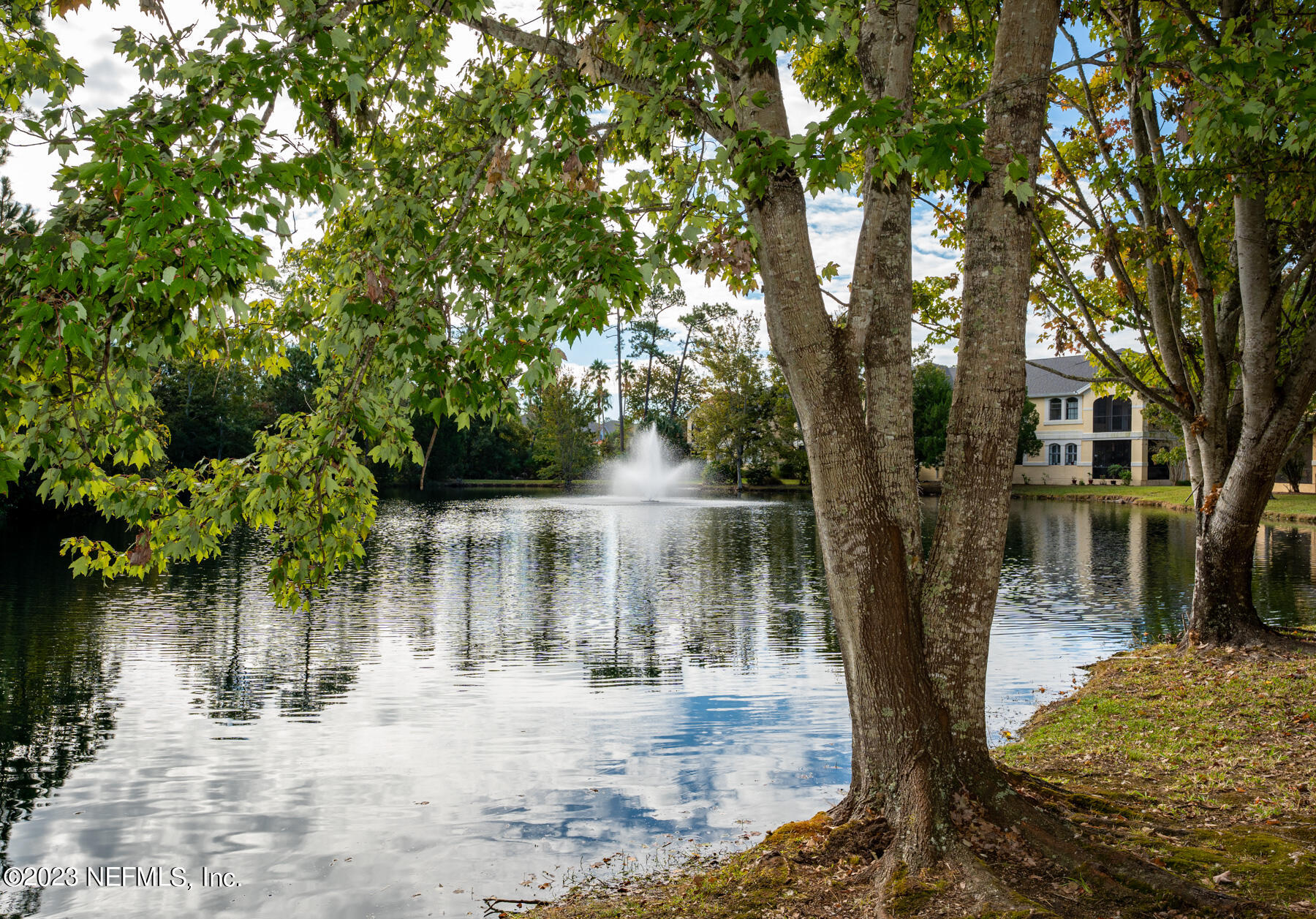1321 Vista Cove Road St. Augustine, FL 32084 - Photo 20 of 27 a backyard of a house with lots of green space