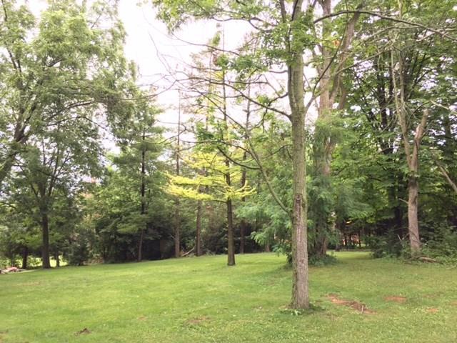 92 Moorefield Road Springfield, OH 45502 - Photo 17 of 20
