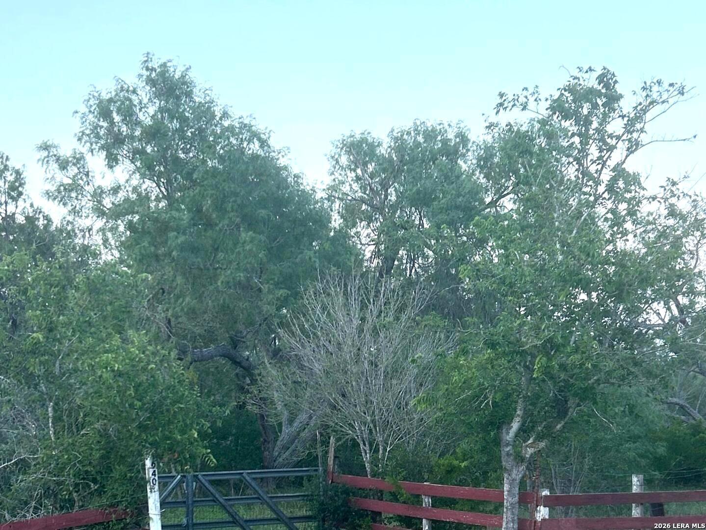1460 Sandy Elm Road La Vernia, TX 78121 - Photo 24 of 25