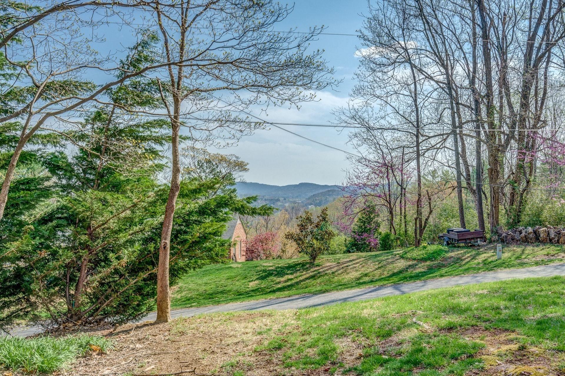 5571 Highfields Road Roanoke, VA 24018 - Photo 33 of 45 a view of a garden with a large tree