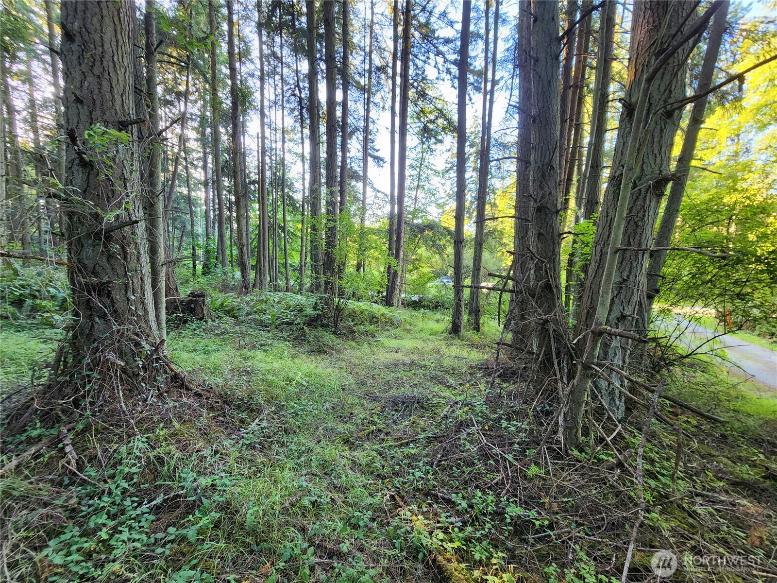 1664 Lancaster Road Freeland, WA 98249 - Photo 4 of 13