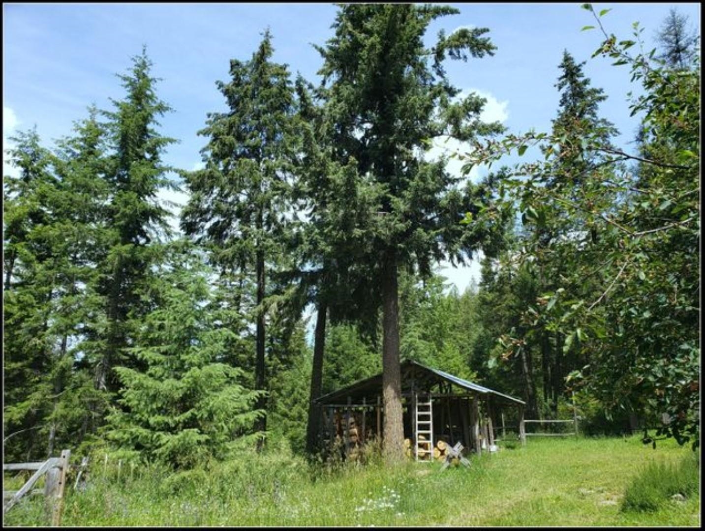 1415 Old CC Road Colville, WA 99114 - Photo 9 of 44