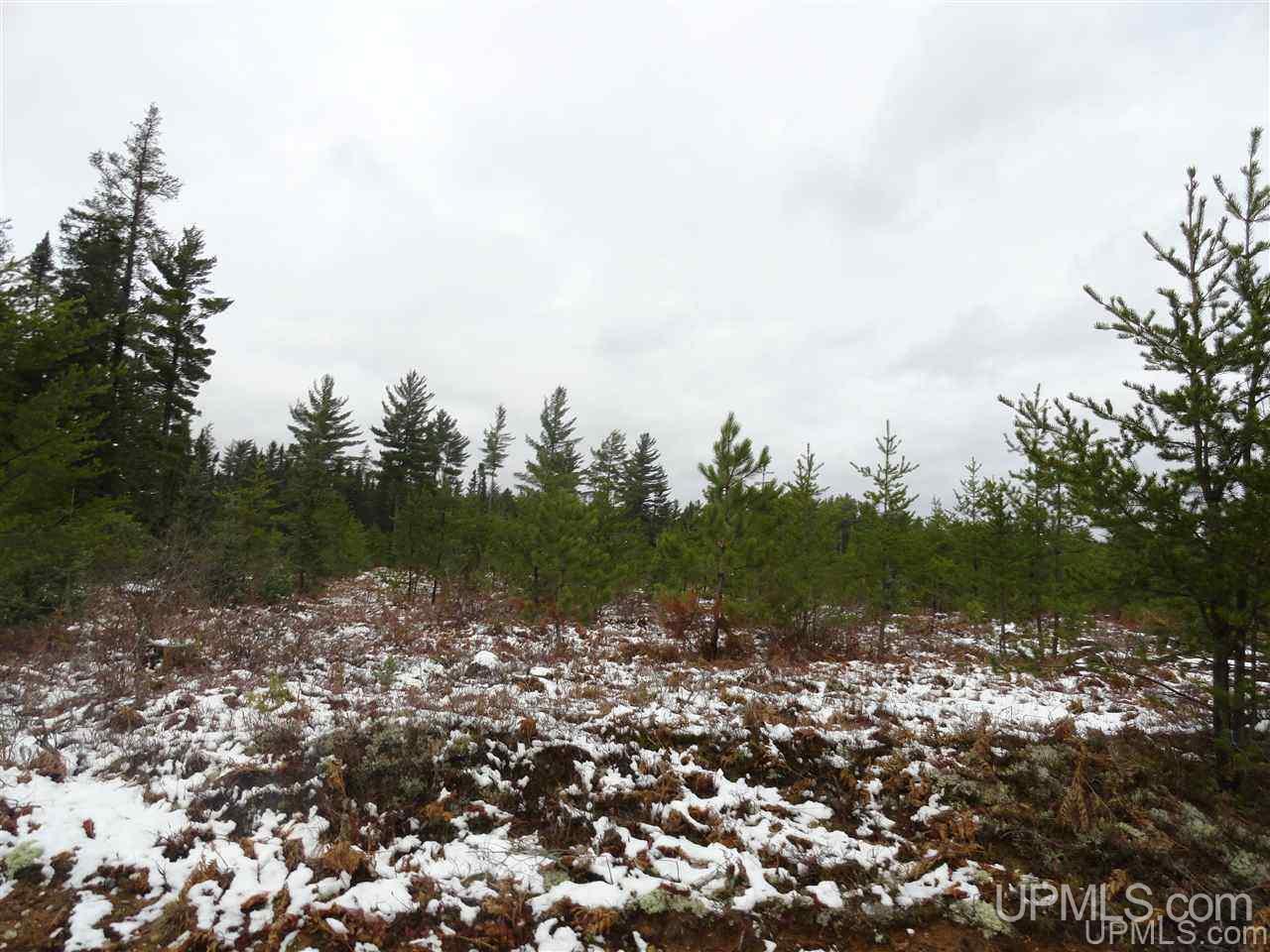 80-acres 80-acres Co Road Negaunee, MI 49866 - Photo 21 of 45