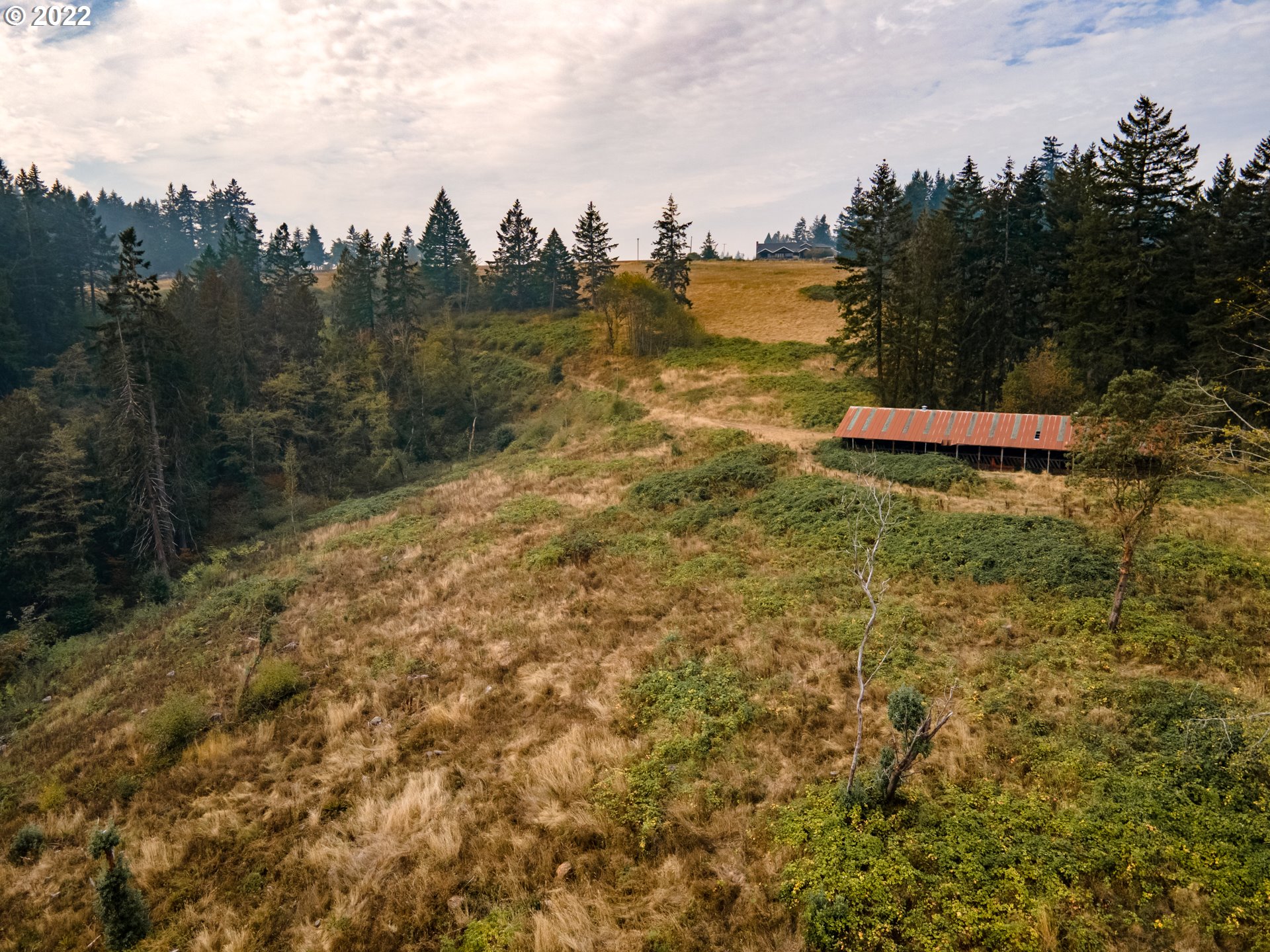 Northeast Parrett Mountain Road Newberg, OR 97132 - Photo 8 of 19 a view of a lake with houses