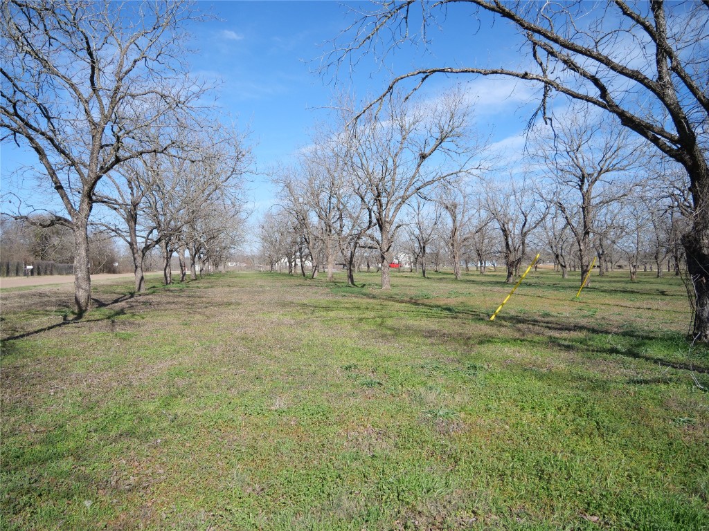 123 Lazy River Lane Elgin, TX 78621 - Photo 1 of 1
