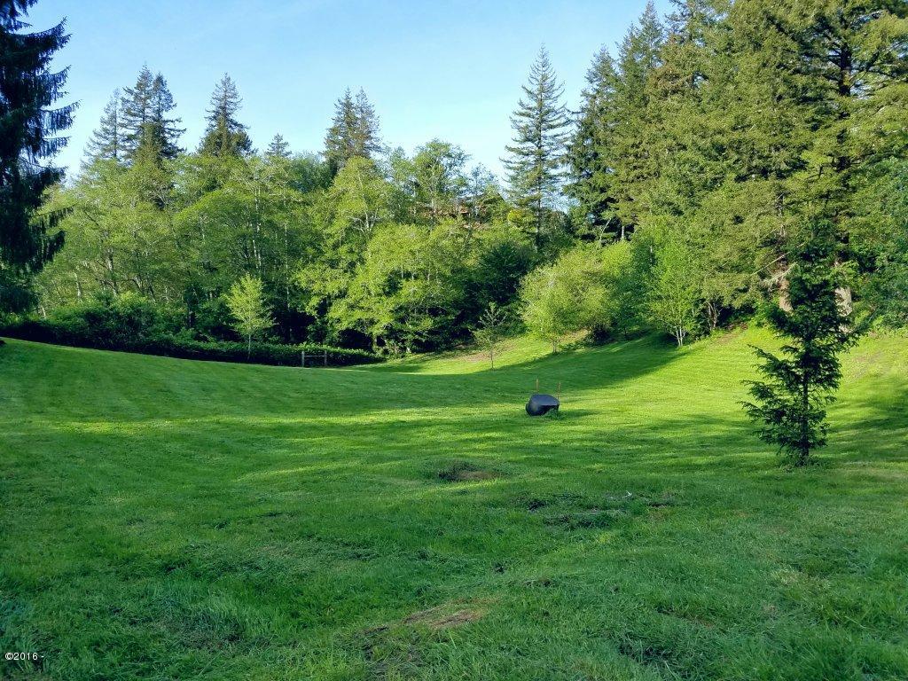 16 Schlecht Road Toledo, OR 97391 - Photo 7 of 22 Looking south
