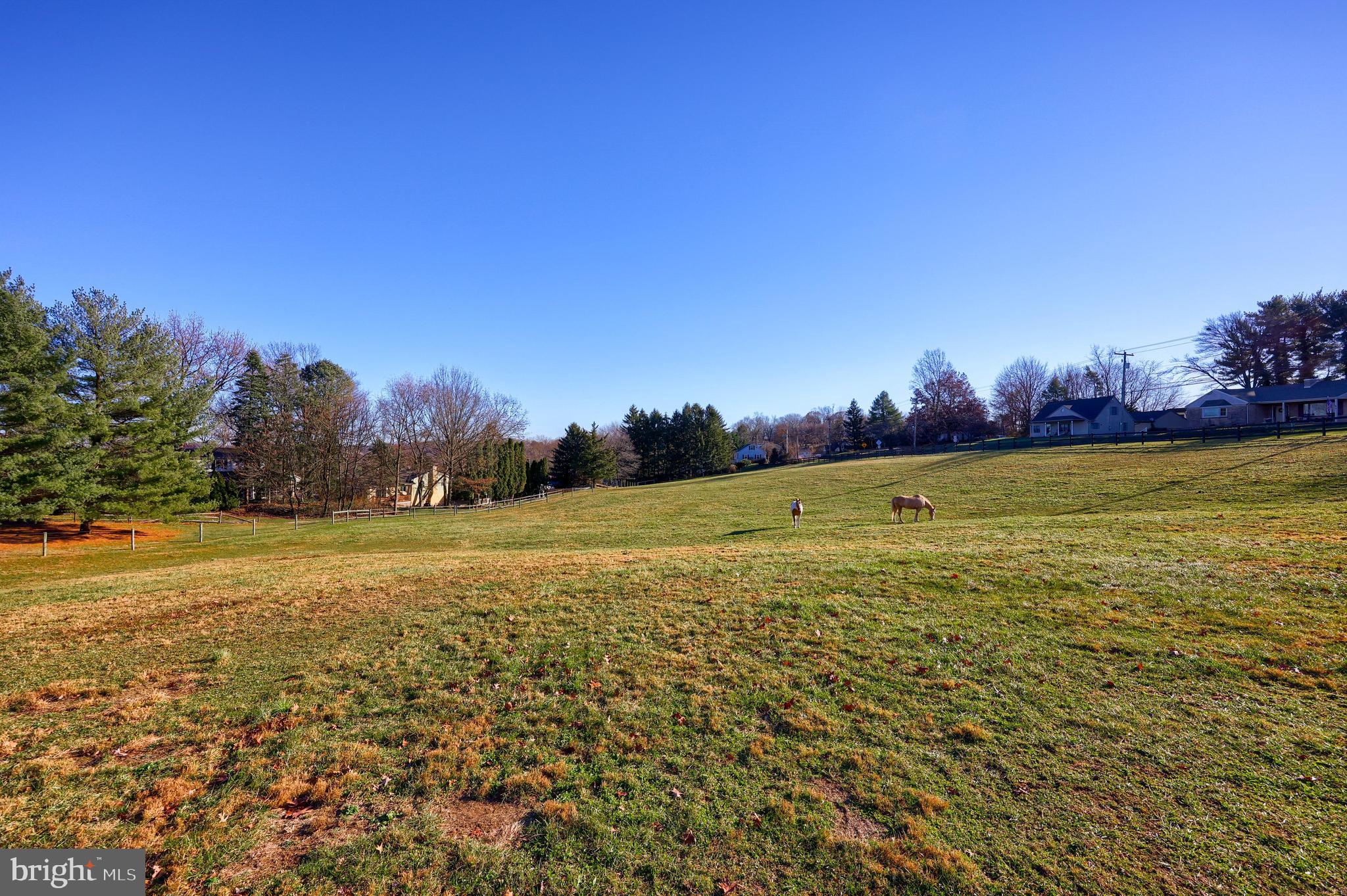 90 Hossler Road Manheim, PA 17545 - Photo 87 of 99 Front pasture
